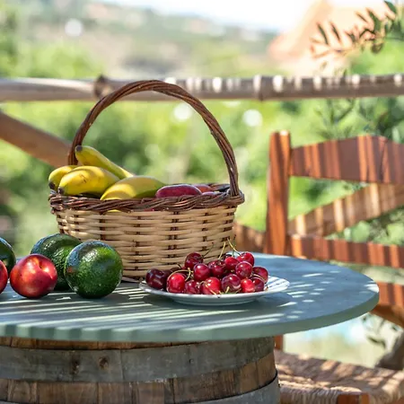 Eco Olive Treehouse مكان تخييم خانيا