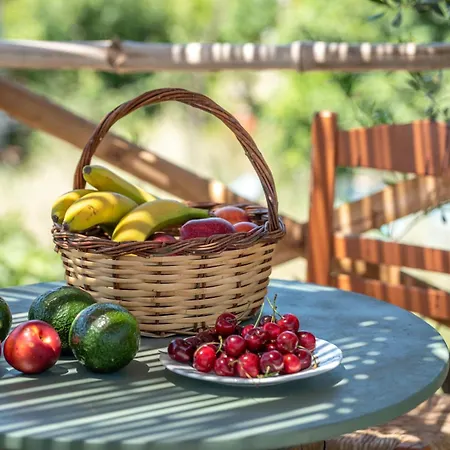 Eco Olive Treehouse مكان تخييم *