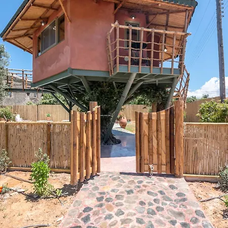 مكان تخييم Eco Olive Treehouse