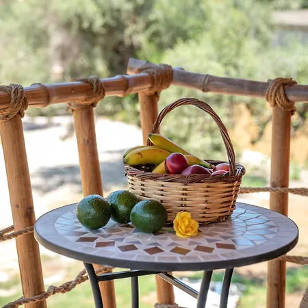 Eco Olive Treehouse Camping