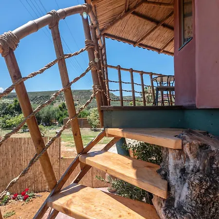 Eco Olive Treehouse Camping *