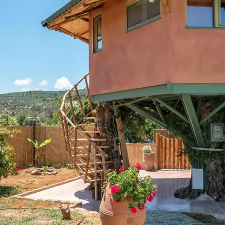 Eco Olive Treehouse Camping